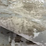 Tepih Otto 4 - Slika 2